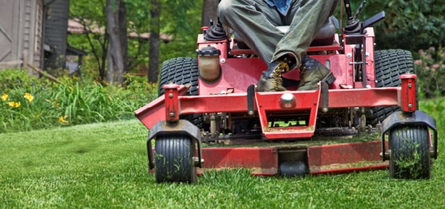 paisajismo en Washington DC
